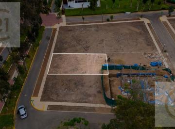 Terreno / Lote · 230m² · Vendo Terreno Condominio Nuevo Polo Km 73,5