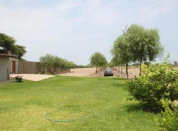 Terreno / Lote · 65000m² · Vendo Amplio Terreno en Calle El Carmen N 11xxx, Chincha