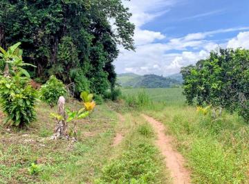 Terreno / Lote · 23000m² · Vendo Terreno Extenso en Pichanaqui Chanchamayo