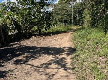 Terreno / Lote , Moyobamba · Vendo 2 Lotes en Moyobamba Inscritos en Registros Públicos
