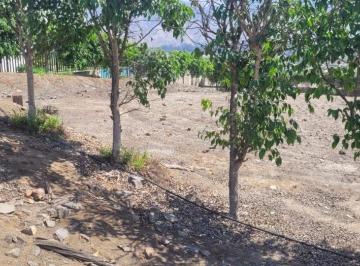 Terreno / Lote , Lima · La Raya Cieneguilla 1024 Sector A, La Mejor Ubicación