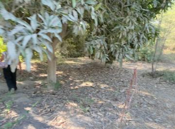 Terreno / Lote , Ica · Terreno en Venta 3143 m² Sector La Solano Los Aquijes Ica