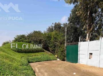 Terreno / Lote · 1400m² · Venta de Terreno en Condominio El Olivar – Fundo La Quipa, Pucusana