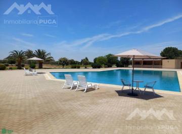 Terreno / Lote · 2503m² · Venta de Terreno Fundo El Almendral Salas Guadalupe Ica