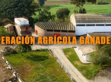 Terreno agrícola · 38m² · 10 Estacionamientos · Venta de Fundo Agricola Ganadero en Pachacamac de 27 Ha