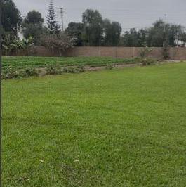 Terreno / Lote · 12310m² · Vendo Amplio Terreno en Calle 8, Urb. Casa Blanca, Pachacamac.