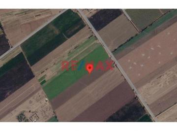 Terreno / Lote , Cañete · Venta de Terreno Agrícola de 14,533 m² en San Luis, Cañete