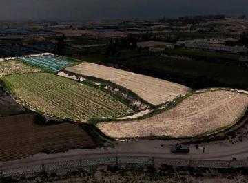 Terreno agrícola · 24392m² · Venta de Terreno Rústico con Proyección Industrial
