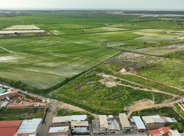 Terreno / Lote · 20000m² · Terreno de 20,000 m² Sector La Tuna - Tumbes