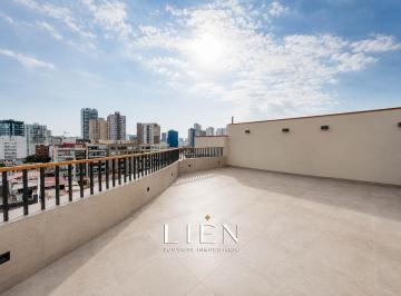Departamento · 241m² · 3 Dormitorios · 1 Estacionamiento · Penthouse Dúplex con Terraza | Vista Al Parque | 3 Dorm. | Azotea