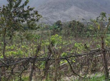 Terreno / Lote , Cañete · Terreno en Lunahuana 500 m²