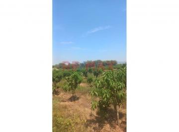 Terreno / Lote en Venta Tambo Grande · Terreno Agrícola en Venta – 50% de Acciones y Derechos | Tambogrande – Piura