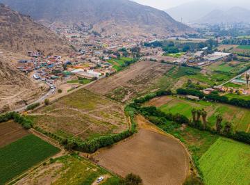 Terreno / Lote · 46000m² · Terreno Agrícola de 4.6 Ha en Picapiedra – Pachacámac
