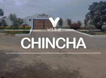 Terreno / Lote · 47900m² · 2 Dormitorios · Terreno en Venta de 4.79 Has - El Carmen, Chincha