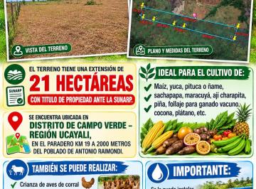 Terreno agrícola , Coronel Portillo · Se Alquila 21 Hectáreas de Terreno en Campo Verde por S/3,000 - Cel.
