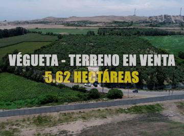 Terreno agrícola , Huaura · Venta Terreno de 5.6 Ha en Vegueta - Huara