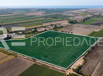 Terreno / Lote 70000ha Venta San Vicente De Cañete · I - 485d Terreno en Cañete - Venta