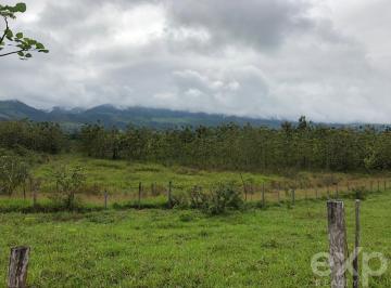 Terreno / Lote · 1005m² · “oportunidad de Inversión – Terreno Rural de 1,005 m² en San Antonio, Tarapoto”