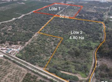Terreno / Lote · 100000ha · I - 548 Terreno en Urb. Esperanza Baja, Huaral