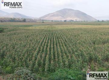 Terreno / Lote · 26326m² · Venta de Terreno en Chancay