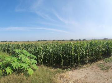 Terreno / Lote · 20467ha · Terreno en El Carmen