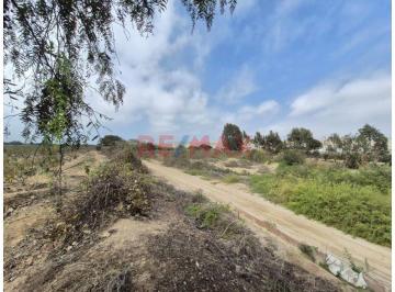 Terreno / Lote , Cañete · Terreno de 3,080 m² en Asia, Km 100 Panamericana Sur