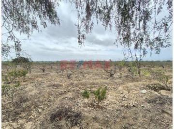 Terreno / Lote , Cañete · Terreno de 3,080 m² en Asia, Km 100 Panamericana Sur