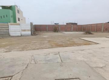 Local comercial · 1600m² · Grocio Prado - Chincha