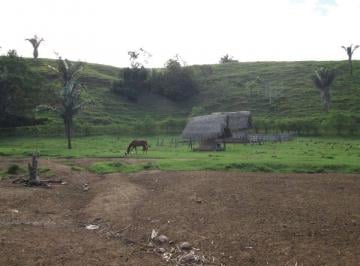 Terreno agrícola , Bellavista · Se Vende un Terreno de 55.86 Hectáreas