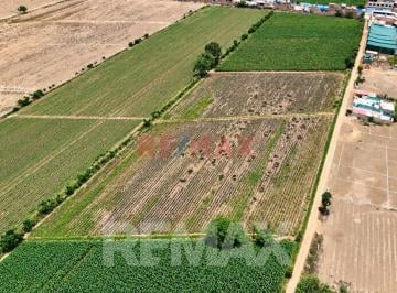 Terreno / Lote · 12500m² · Venta de Terreno Huaral 12500 m² Sector Retes Zonificación Zdm
