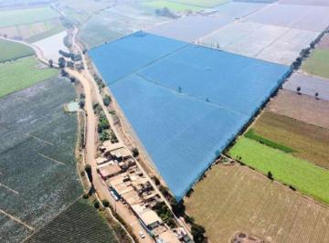 Terreno agrícola · 60000m² · Venta de Terreno en Aucallama $2’ Negociables
