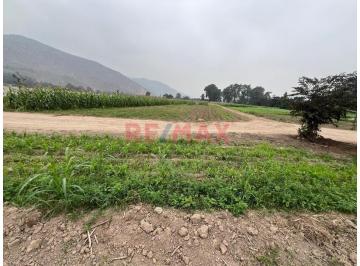 Terreno / Lote · 21m² · Se Vende Hermoso Terreno de 21,500 m² en Pachacamac