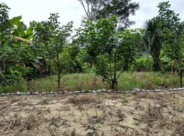 Terreno / Lote · 12300m² · Se Vende Terreno en Huanuco Tingomaria Independizado
