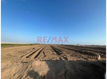 Terreno / Lote · 14m² · Terreno Rústico en Venta de 14,540 m² en Santa Rosa – Lambayeque (M. Sullon)