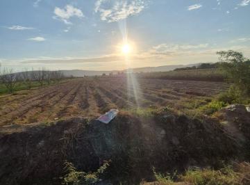 Terreno agrícola , Ica · Vendo Terreno en Ica de 6.8599 Ha en El Distrito de Saantiago Precio de Remate