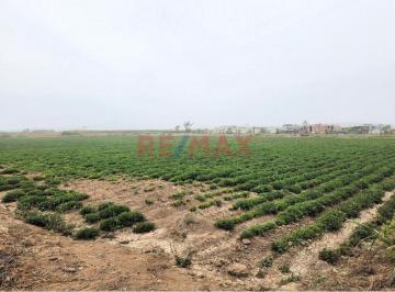 Terreno / Lote · 13989m² · Venta de Terreno de Playa y Agricola 13,989 m² - Santa Barbara, Valle Cañete
