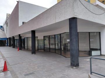 Local comercial , Lima · Local Comercial E - Calle Los Sauces