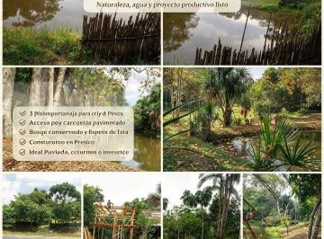Terreno agrícola de 1 habitación, Maynas · Propicios Para Finca con Tres Pisci Granjas
