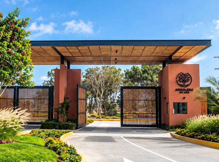 Lote , Cañete · La Arboleda de Asia