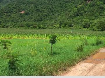 Terreno / Lote en Venta Tres Unidos · 42 Ha Para Ganaderia Y/o Act. Agricola con Titulo de Propiedad