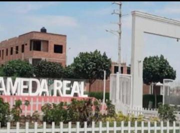 Terreno / Lote , Lambayeque · Venta. ¿Estás Buscando Terreno Ideal Para Construir en Lambayeque?; Te Ofrezco en Urb. Alameda Real