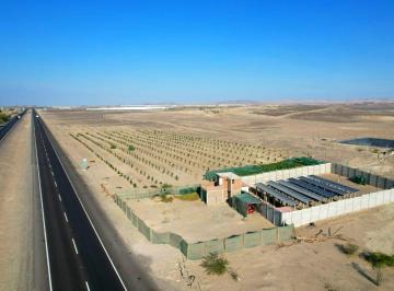 Terreno / Lote , Ica · Terreno de 22 Ha en Venta en Salas Ica