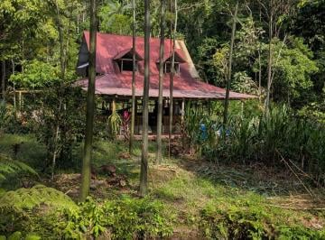 Terreno agrícola de 2 habitaciones, Oxapampa · Terreno 24 Ha