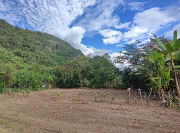 Terreno / Lote , Leoncio Prado · Terreno en Venta en Mapresa, Luyando, Tingo Maria