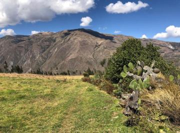 Terreno agrícola , Anta · Terreno Agricola en Cusco, Timatambo, Anta, Predio Rustico Hayroncca