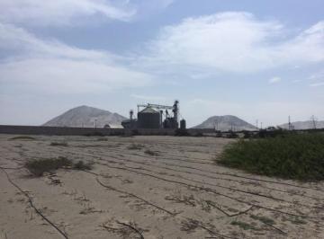 Terreno / Lote · 70900ha · Vendo Terrerno en Zona Industrial de Moche (At=7.09 Has) Trujillo