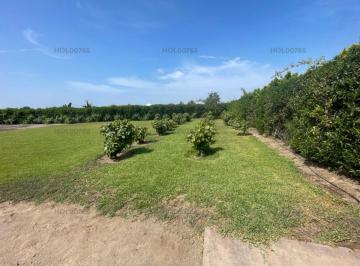 Terreno / Lote , Cañete · Vendo Terreno Lote Condominio Las Parras Inscrito en Registros Publicos, 1214 m²