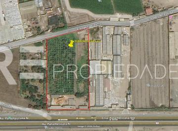 Terreno / Lote · 10689m² · I - 550 Terreno Para Desarrollo Inmobiliario en Chancay