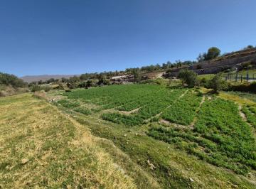 Terreno / Lote , Arequipa · Se Vende Hermoso Terreno Agricola en Quequeña