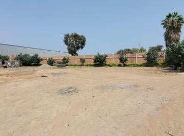 Local comercial · 10000m² · Alquiler de Local en Pachacamac